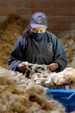 Is my fiber sustainable?